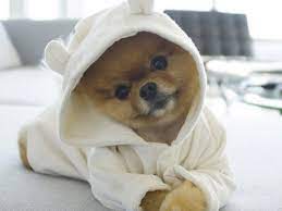 Jiff